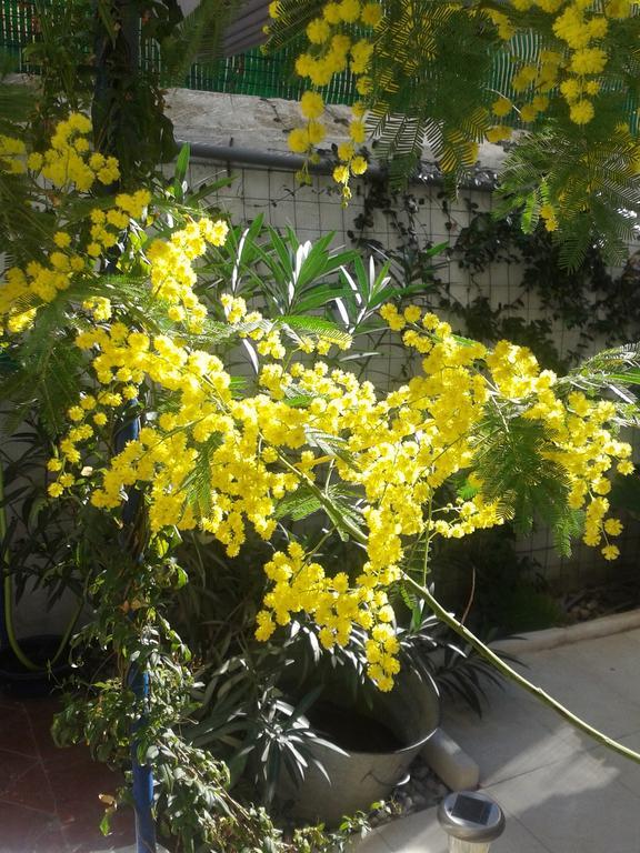 Chambres Et Table D'Hotes Le Jardin De Tesse Тулон Екстер'єр фото